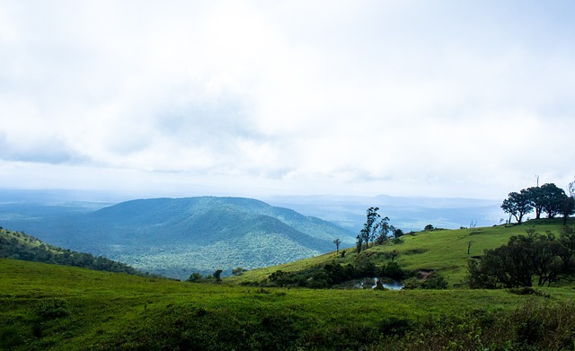 正式改变 正式改变