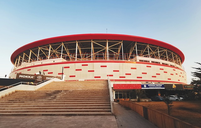 这一问题不 这一问题不