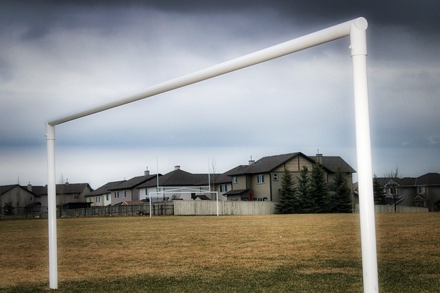 杯的冠军 杯的冠军