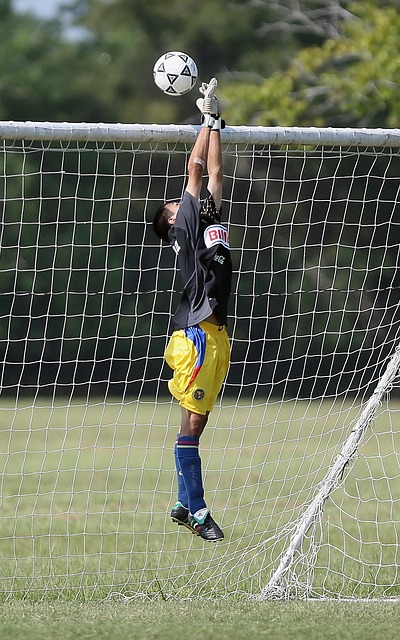 瓜帅还进一 瓜帅还进一