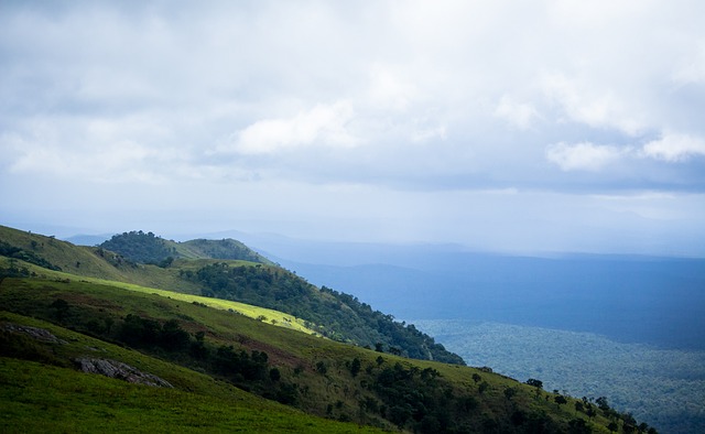 配合唐西奇 配合唐西奇