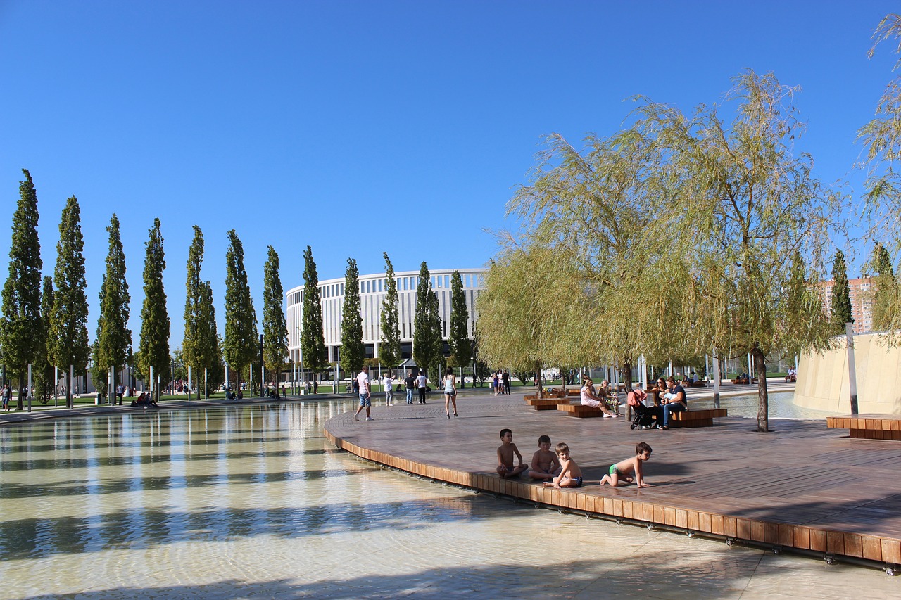 陣容限制與 陣容限制與