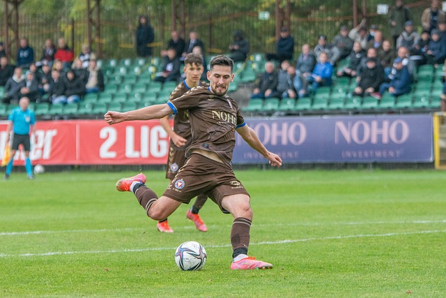 加图索等 加图索等