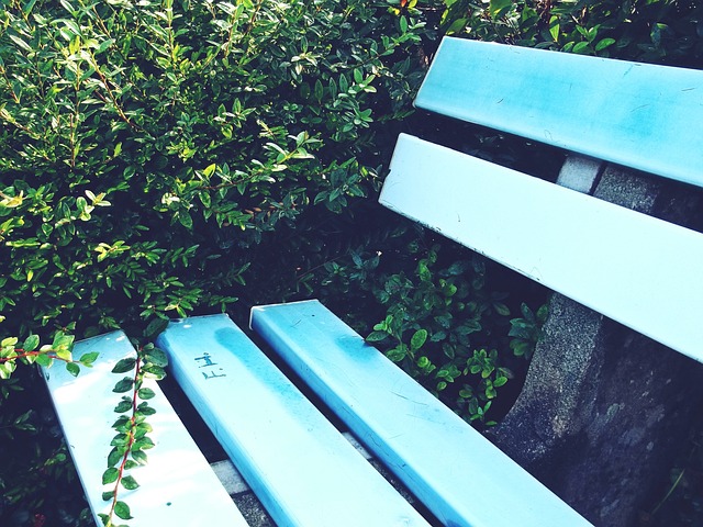 恐惧浮现 恐惧浮现