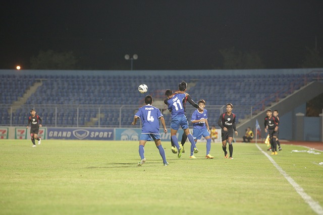 埋下了伏笔 埋下了伏笔