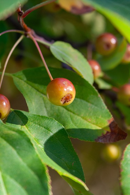 的保护策略 的保护策略