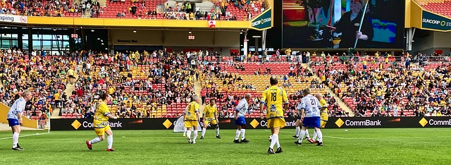 的宏伟愿景 的宏伟愿景