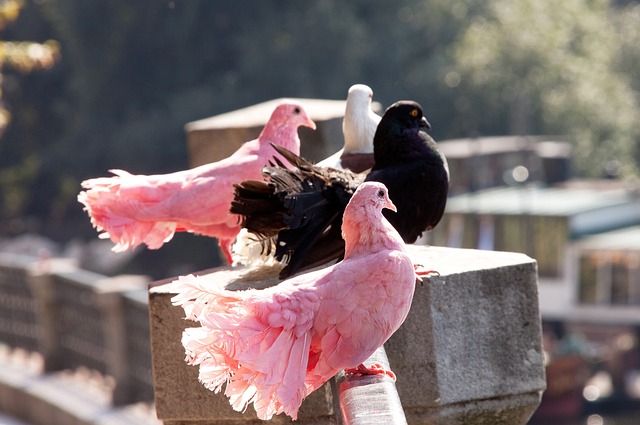 年世界运动 年世界运动