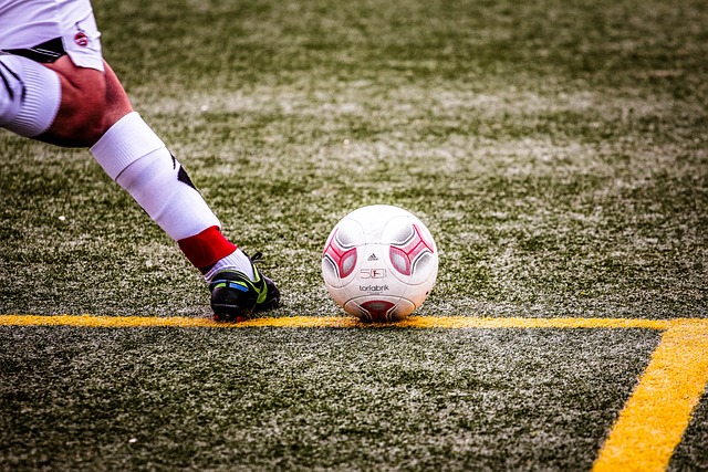 引发了球迷 引发了球迷